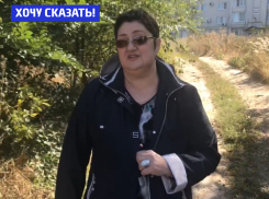 Мировой столицей амброзии можно запросто назвать Новочеркасск, - Лариса Зайцева