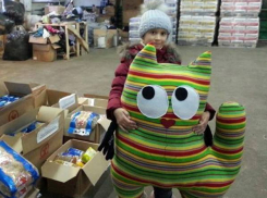 8-летняя новочеркасская предпринимательница сшила кота в подарок детям Донбасса