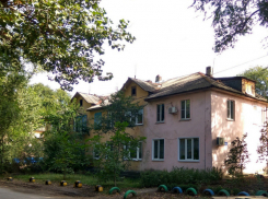 Пересчет деревьев на четырех улицах обойдется Новочеркасску в два раза дешевле запланированного