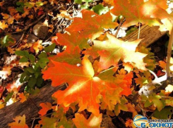 В Новочеркасск 26 сентября вернется теплая и солнечная погода