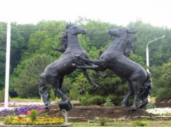 Воры, укравшие 50 цветов на площади Юбилейной, останутся безнаказанными