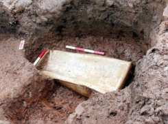 Тело трехлетней девочки в самодельном гробу обнаружили в лесу в Ростовской области