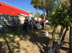 В парке микрорайона Октябрьский Новочеркасска провели субботник