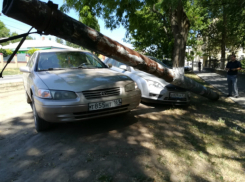 В Новочеркасске сгнивший столб обрушился на припаркованные машины