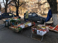 Пять новочеркасских предпринимателей поплатились за несанкционированную торговлю 