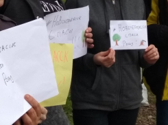 Новочеркасцев призвали принять участие в акции против вырубки рощи «Красная весна»