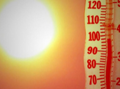Новочеркасцев предупреждают о 40-градусной жаре