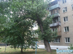 В Новочеркасске 15-тонный тополь может упасть на пятиэтажку