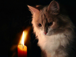 7 августа пять улиц Новочеркасска останутся без света