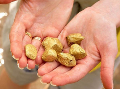 В Ростовской области под Новочеркасском обнаружили крупное месторождение золота