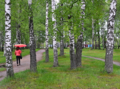 В Новочеркасск снова вернулись дожди
