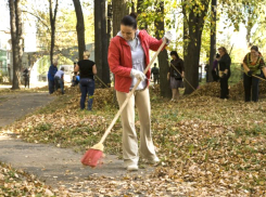 В Новочеркасске предложили платить десять рублей за мешок листвы