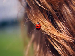 В Новочеркасск вернулось бабье лето