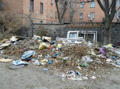 В центре Новочеркасска куча неубранных вовремя листьев разрослась до размера большой свалки