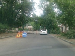  В Новочеркасске из-за опиловки деревьев перекроют площадь Левски и улицу Троицкую