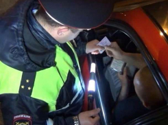 Пьяный водитель, избивший в Новочеркасске полицейского, получил по заслугам