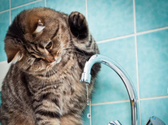 Больше суток просидят новочеркасцы без воды