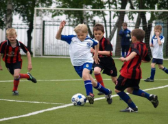 Школьников заставят заниматься футболом