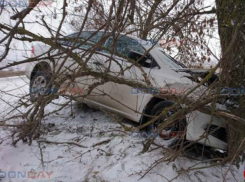 «Фольксваген» улетел с трассы и врезался в дерево под Новочеркасском