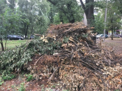 Жители Новочеркасска призывают администрацию к сознательности