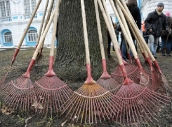  Новочеркассцев пригласили на субботник со своим инвентарем и мешками для мусора