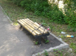 Вандалы украли урны и сломали скамейки в новочеркасской роще «Красная весна»