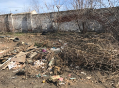 В Новочеркасске обнаружили свалки у контейнерных площадок