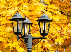 Предстоящая рабочая неделя в Новочеркасске пройдет без осадков