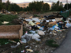 В переулке Дачном Новочеркасска больше месяца не вывозят мусор