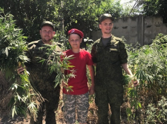 В Новочеркасске прошел «Единый день борьбы с дикорастущей коноплей»