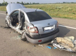 7 человек пострадали в аварии в Аксайском районе