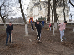 Более двух тысяч новочеркасцев вышли на городской субботник