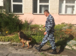 В Новочеркасске стартовала спецоперация «Дети России»