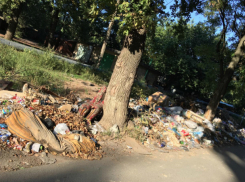 «Помогите жителям забытого  властями поселка Донского», - жительница Новочеркасска