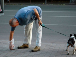 Житель Новочеркасска предложил пополнить бюджет за счет собачьих «кучек»