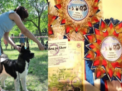 Самый очаровательный щенок проживает в Новочеркасске