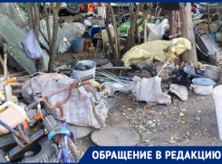 «В соседском мусоре комфортно только крысам», - новочеркасцы