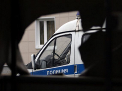 Вооруженный новочеркасец пытался похитить из магазина сосиски и водку 