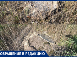 «Хорошо в краю родном, пахнет сеном и…», - новочеркасцы оценили жизнь среди канализационных родников
