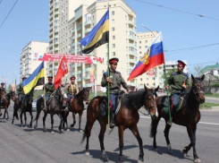 По Новочеркасску пройдут 100 лошадей