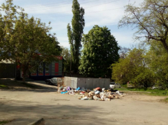 «Мусорный вопрос» измучил новочеркасцев
