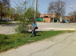 В Новочеркасске на 27 улицах покосили траву 