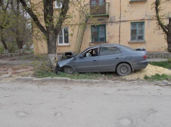 В Новочеркасске «Тойота» врезалась в дерево