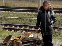 Жительница Новочеркасска украла металлолом из товарного поезда