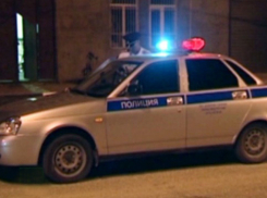 Под Новочеркасском полицейский сбил насмерть пешехода