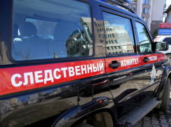 Обстоятельства трагической гибели 3-летней девочки выясняет следственный отдел Новочеркасска