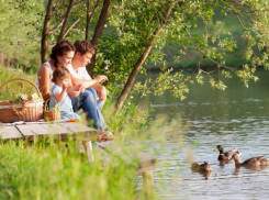Солнечно, тепло и без осадков: о погоде в Новочеркасске на ближайшие выходные