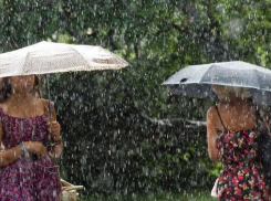 В Новочеркасске дождь с грозой сменит жаркое июльское солнце