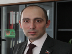 Самым богатым депутатом стал Андрей Карабедов