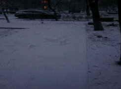 Новочеркассцы радуются первому снегу